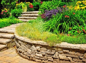 Rustic stone landscaping with healthy garden plants