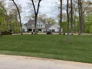 Freshly mowed lawn in front of residence with slim trees