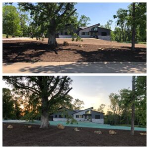 Before and after landscape project